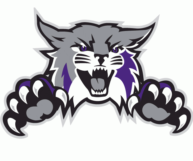 Weber State Wildcats 2012-Pres Alternate Logo iron on transfers for clothing